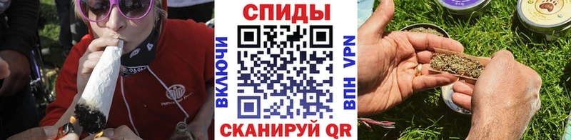 Бутират буратино MEGA как зайти Калач