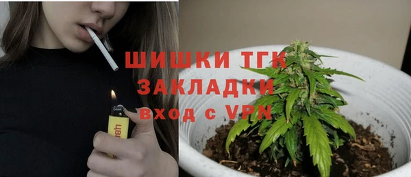 spice Горнозаводск