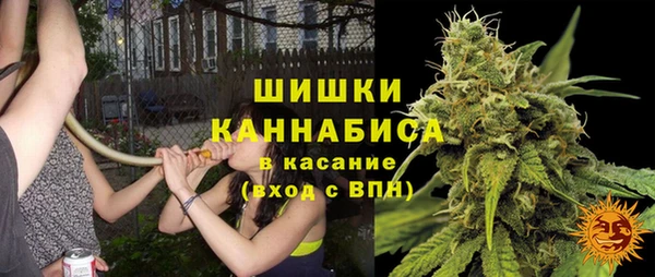 spice Горнозаводск